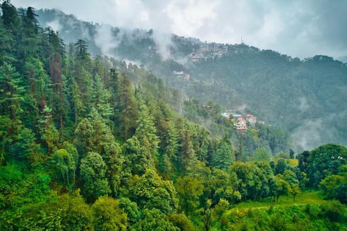 The Boho Near Mall Road Shimla Exterior photo